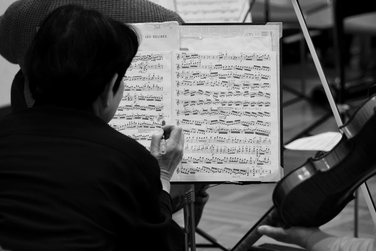 سلفژ ابزاری برای درک بنیادین موسیقی